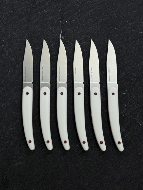 BOOYO XINGUO SANDVIK 14C28N STEAK KNIVES / 6 PIECES WITH BOX