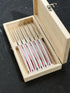 BOOYO XINGUO SANDVIK 14C28N STEAK KNIVES / 6 PIECES WITH BOX