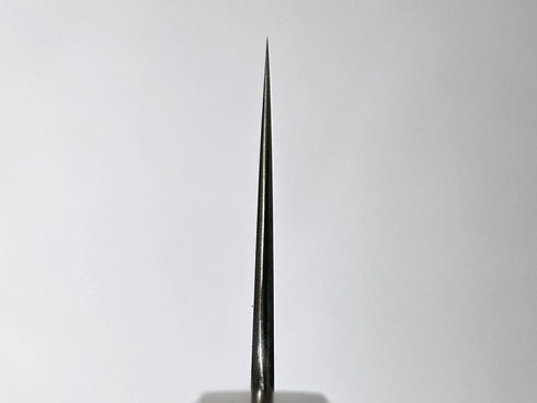 Xinguo ATS-34 Nickel Damascus Gyuto 240 Desert Ironwood Handle