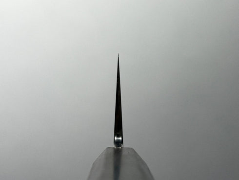 Apex Ultra Stainless Clad Gyuto 210 Go-Mai Ebony