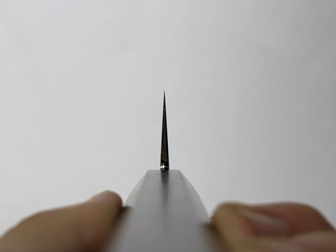 APEX ULTRA STAINLESS CLAD KIRITSUKE-SUJIHIKI 270 GO MAI EBONY