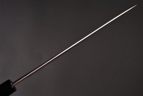 HATSUKOKORO YOROKOBI SLD RAINBOW GYUTO 210 /ZIRICOTE WITH RESIN AND NICKEL SILVER RINGS